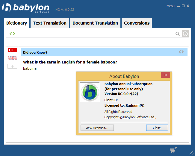 Babylon Pro NG License Key
